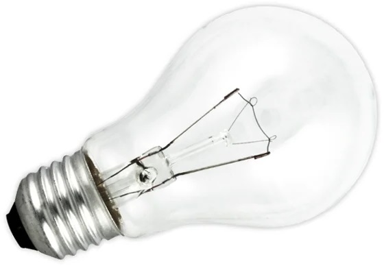 An Incandescent or Filament lightbulb